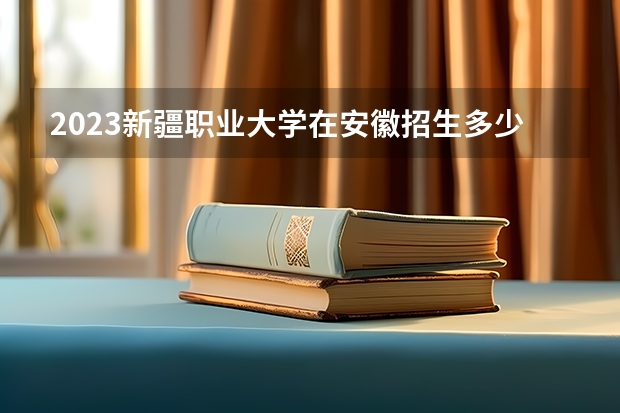 2023新疆职业大学在安徽招生多少人