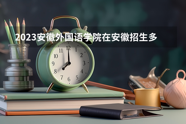 2023安徽外国语学院在安徽招生多少人