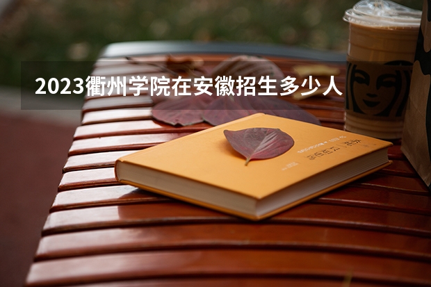2023衢州学院在安徽招生多少人