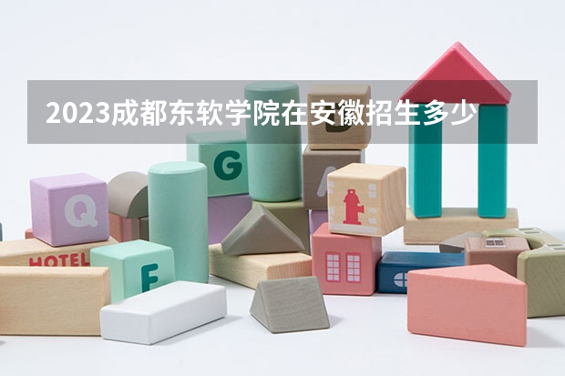 2023成都东软学院在安徽招生多少人