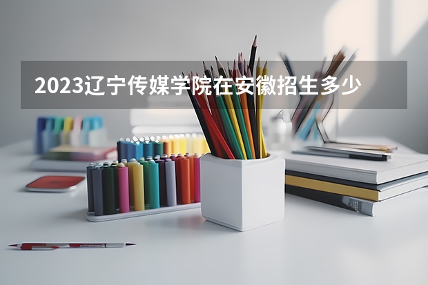 2023辽宁传媒学院在安徽招生多少人