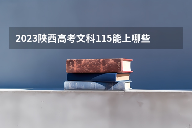 2023陕西高考文科115能上哪些大学 
