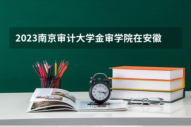 2023南京审计大学金审学院在安徽招生多少人
