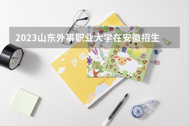 2023山东外事职业大学在安徽招生多少人