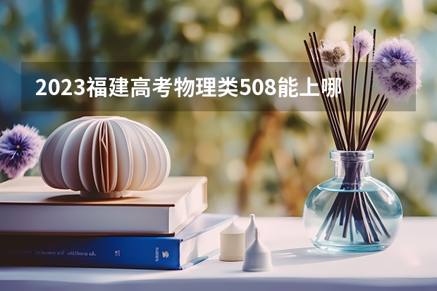 2023福建高考物理类508能上哪些大学 