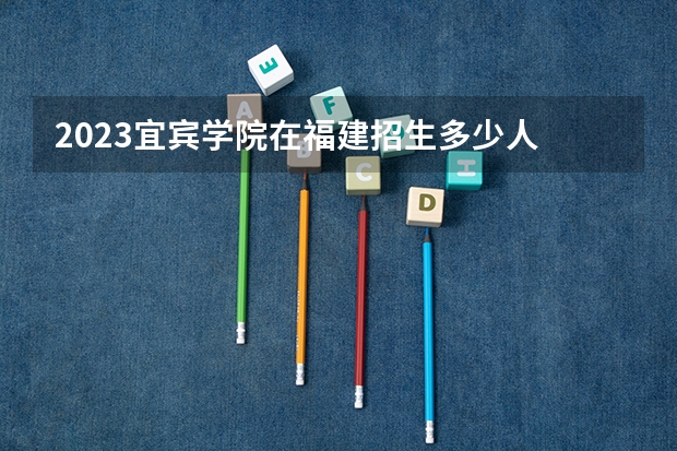 2023宜宾学院在福建招生多少人