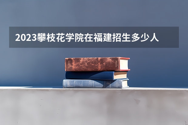 2023攀枝花学院在福建招生多少人