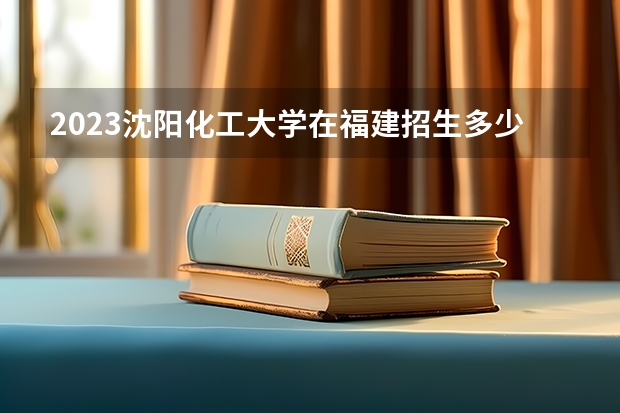 2023沈阳化工大学在福建招生多少人