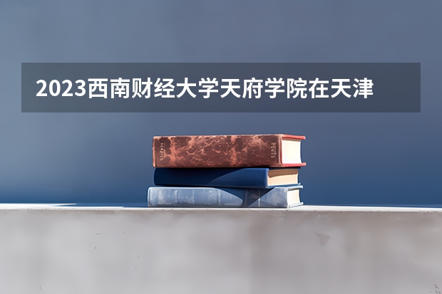 2023西南财经大学天府学院在天津招生多少人