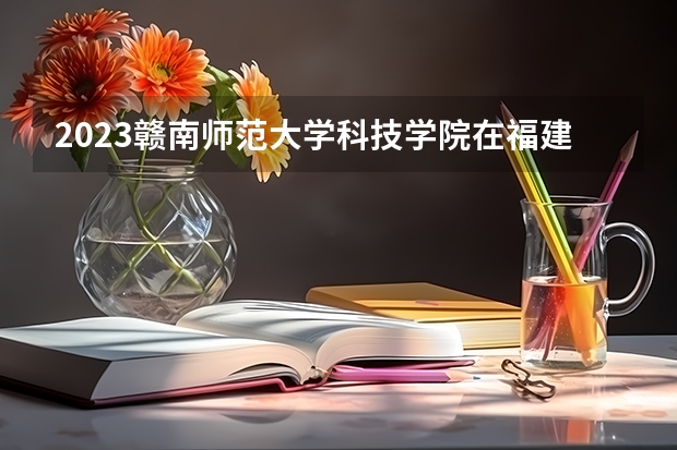 2023赣南师范大学科技学院在福建招生多少人