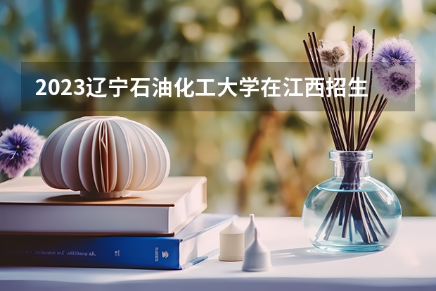 2023辽宁石油化工大学在江西招生多少人