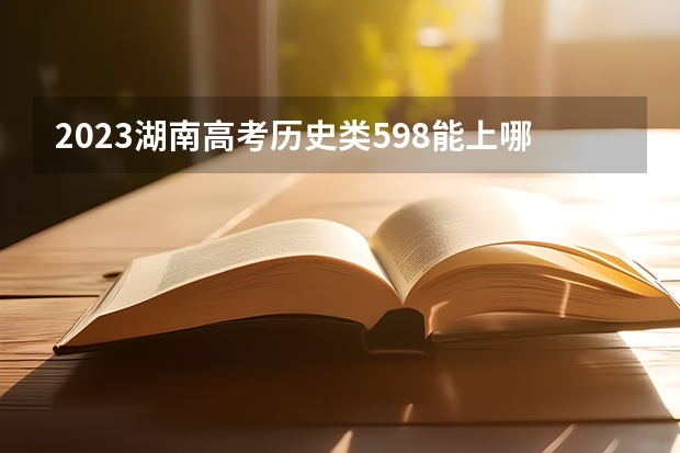 2023湖南高考历史类598能上哪些大学 