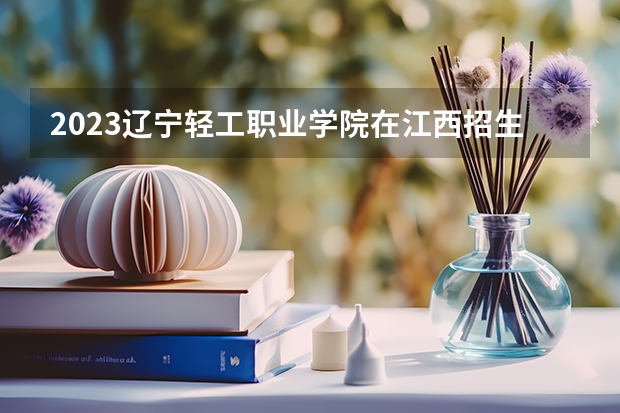 2023辽宁轻工职业学院在江西招生多少人