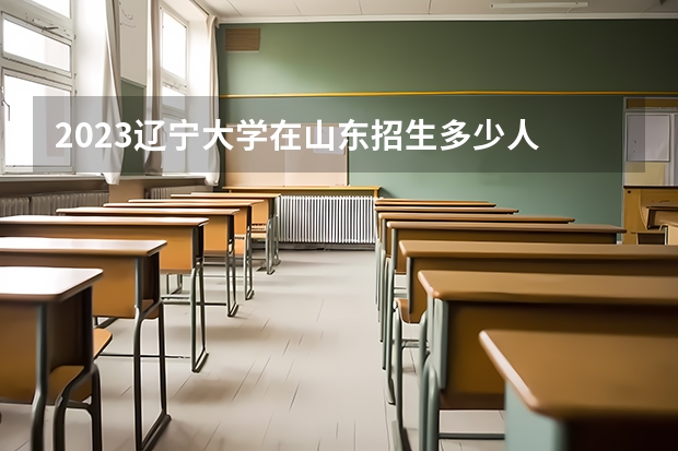 2023辽宁大学在山东招生多少人