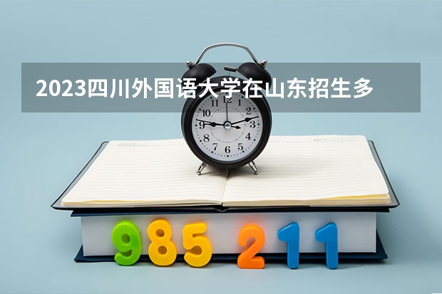2023四川外国语大学在山东招生多少人