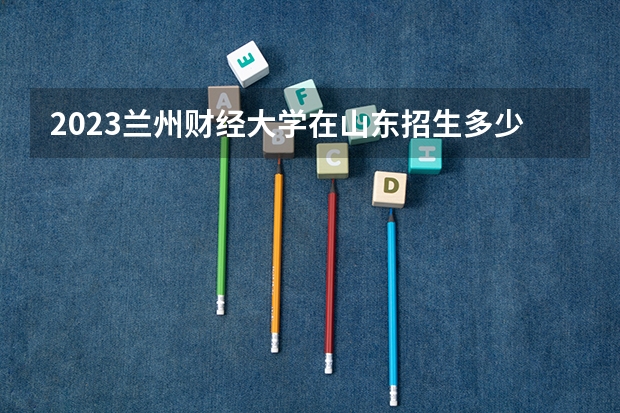 2023兰州财经大学在山东招生多少人