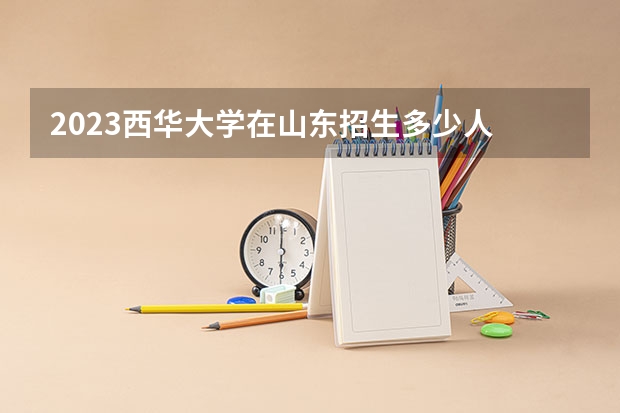 2023西华大学在山东招生多少人