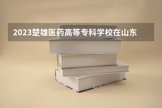 2023楚雄医药高等专科学校在山东招生多少人