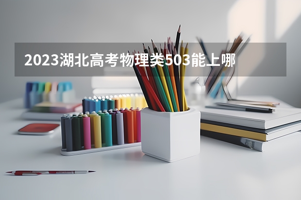 2023湖北高考物理类503能上哪些大学 