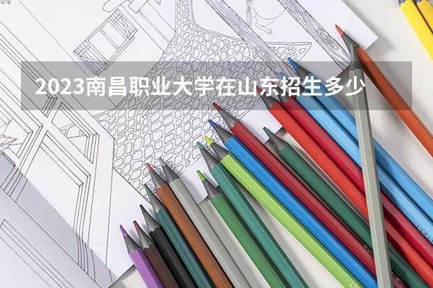 2023南昌职业大学在山东招生多少人