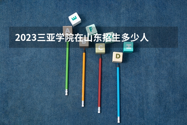 2023三亚学院在山东招生多少人