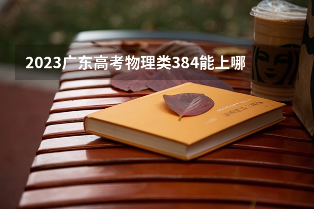 2023广东高考物理类384能上哪些大学 