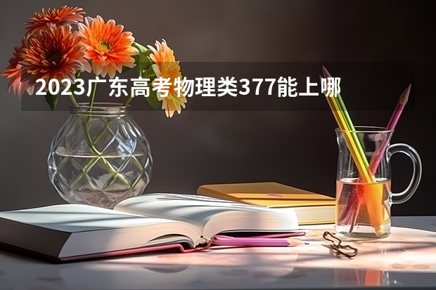 2023广东高考物理类377能上哪些大学 