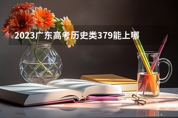 2023广东高考历史类379能上哪些大学 