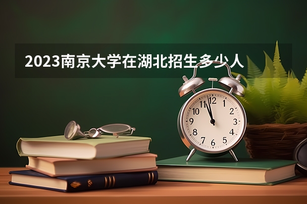 2023南京大学在湖北招生多少人