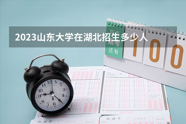 2023山东大学在湖北招生多少人