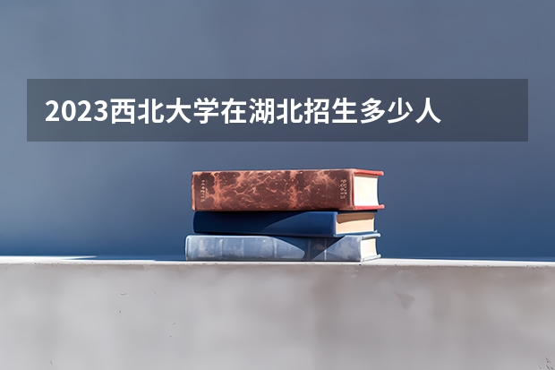 2023西北大学在湖北招生多少人