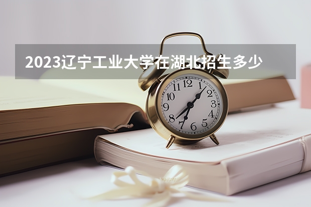 2023辽宁工业大学在湖北招生多少人