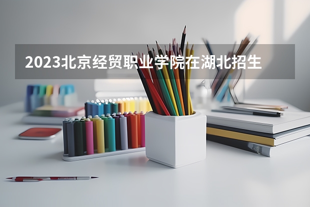 2023北京经贸职业学院在湖北招生多少人