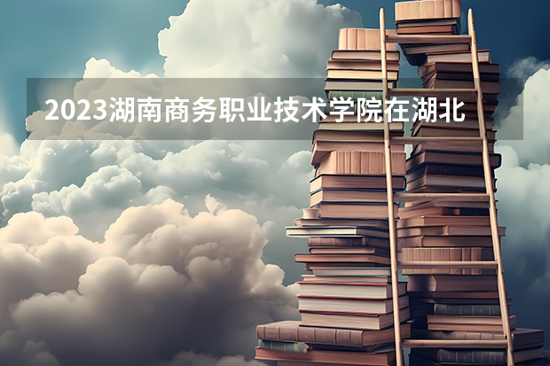 2023湖南商务职业技术学院在湖北招生多少人