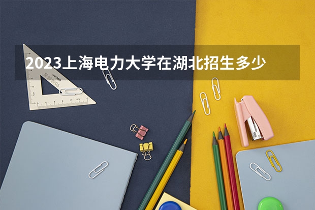 2023上海电力大学在湖北招生多少人