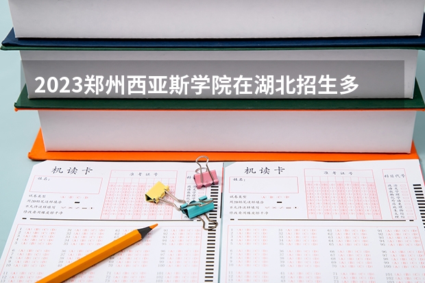 2023郑州西亚斯学院在湖北招生多少人