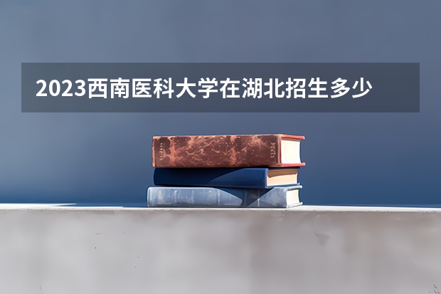 2023西南医科大学在湖北招生多少人