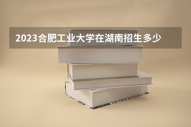 2023合肥工业大学在湖南招生多少人
