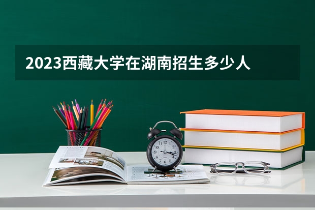 2023西藏大学在湖南招生多少人