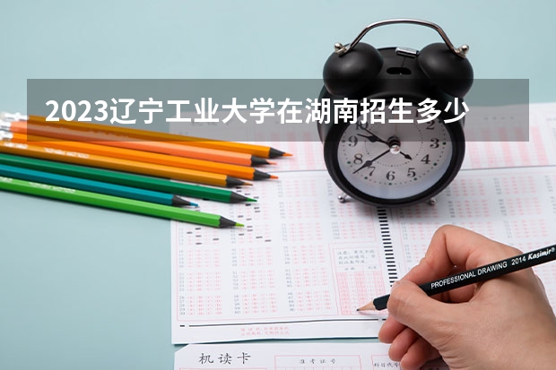 2023辽宁工业大学在湖南招生多少人