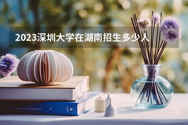 2023深圳大学在湖南招生多少人