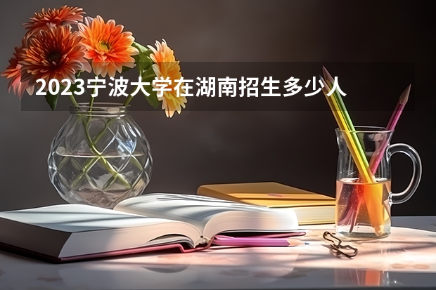 2023宁波大学在湖南招生多少人