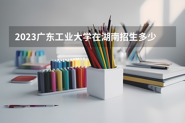 2023广东工业大学在湖南招生多少人