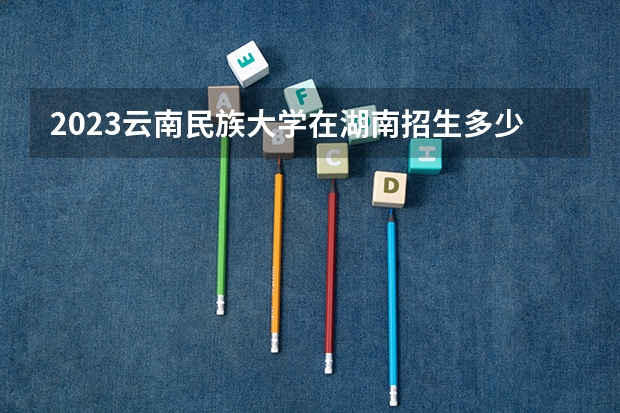 2023云南民族大学在湖南招生多少人