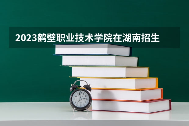 2023鹤壁职业技术学院在湖南招生多少人