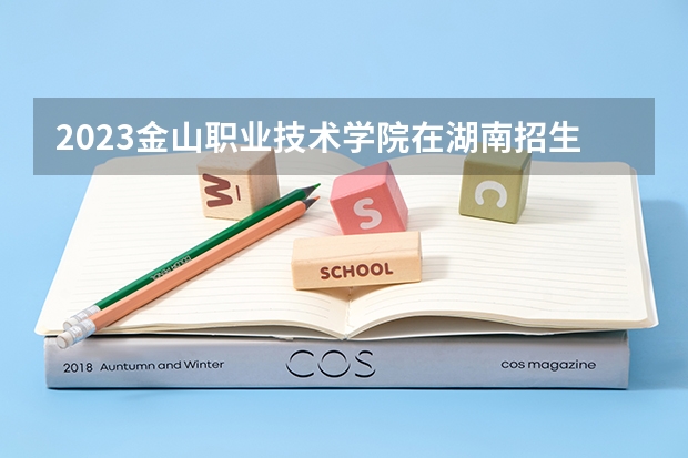 2023金山职业技术学院在湖南招生多少人