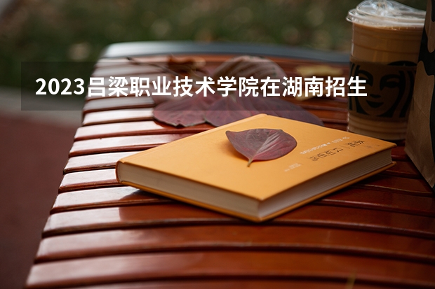 2023吕梁职业技术学院在湖南招生多少人