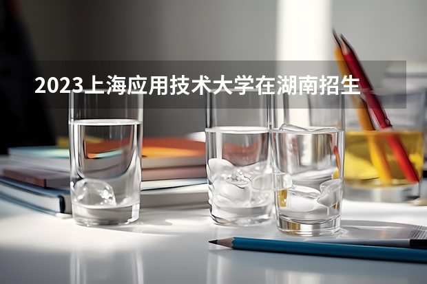 2023上海应用技术大学在湖南招生多少人