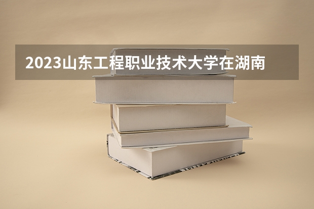 2023山东工程职业技术大学在湖南招生多少人
