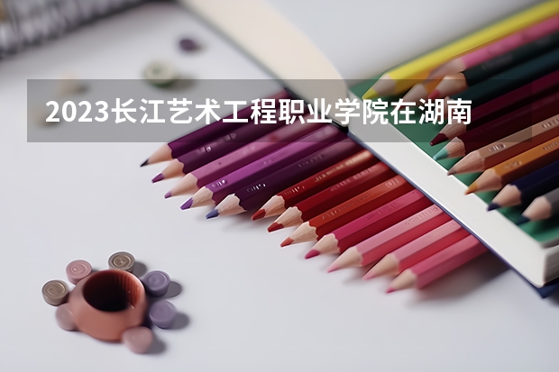 2023长江艺术工程职业学院在湖南招生多少人